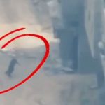 1752559170-794cdb9c73f8c687c66ee249c67e263a